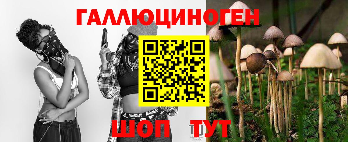 Псилоцибиновые грибы Psilocybine cubensis  Вход с VPN  Псилоцибиновые грибы мухоморы  Нальчик 